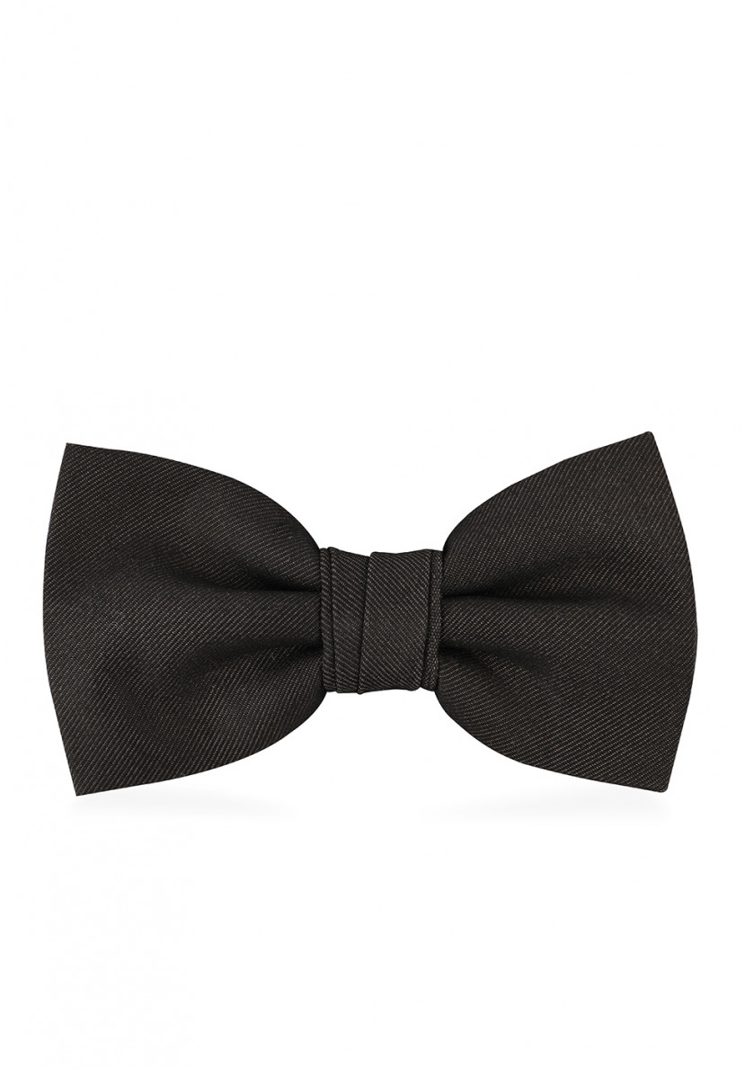 Papillon Papillon